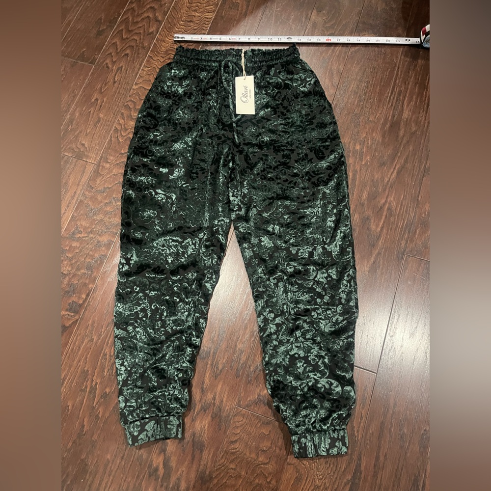 Anthropologie sample piece Ollari Green crush velvet jogger women Size Small NEW